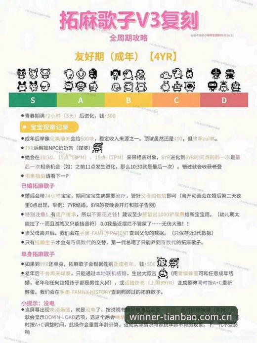 国内天宝博体育平台官方中文站V3版实用详解